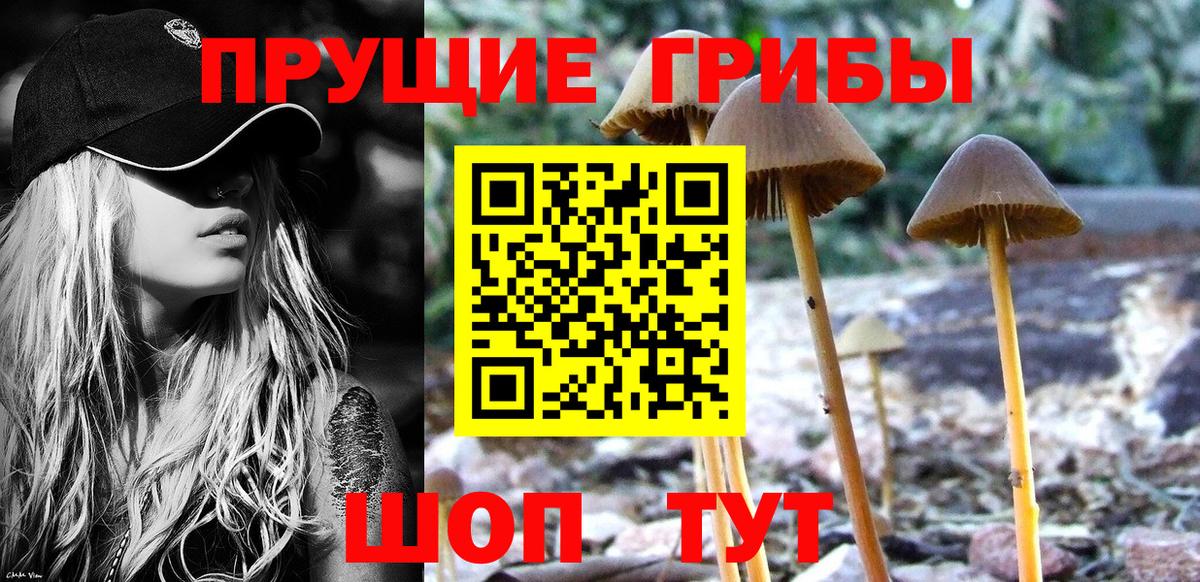 Галлюциногенные грибы мицелий Мелеуз