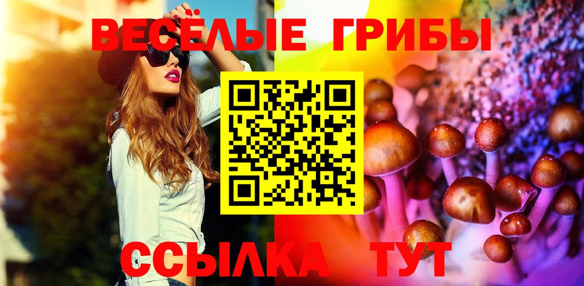 Псилоцибиновые грибы MAGIC MUSHROOMS  Вход с VPN  Мелеуз 